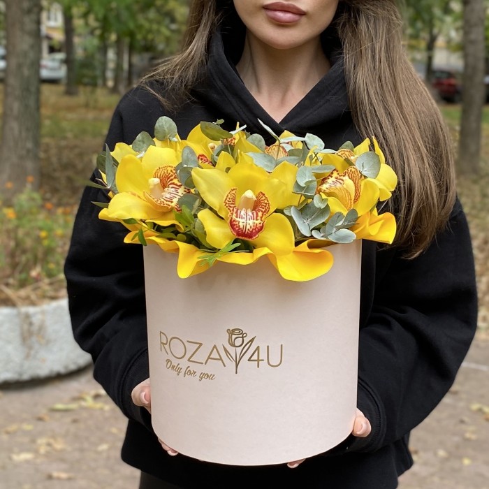 11 желтых орхидей Цимбидиум с эвкалиптом в коробке