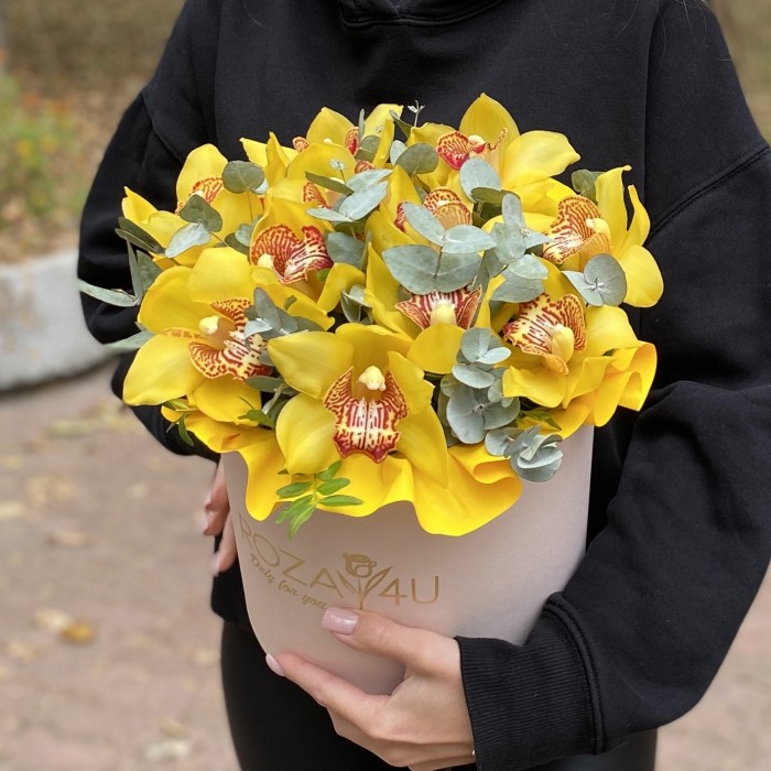 11 желтых орхидей Цимбидиум с эвкалиптом в коробке