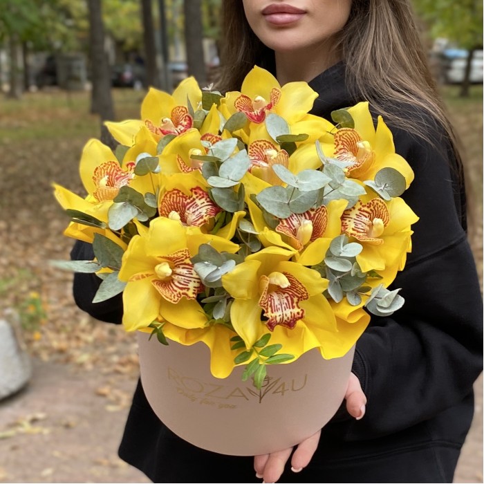 11 желтых орхидей Цимбидиум с эвкалиптом в коробке