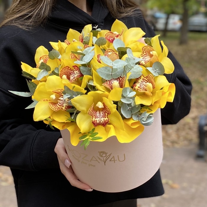 11 желтых орхидей Цимбидиум с эвкалиптом в коробке