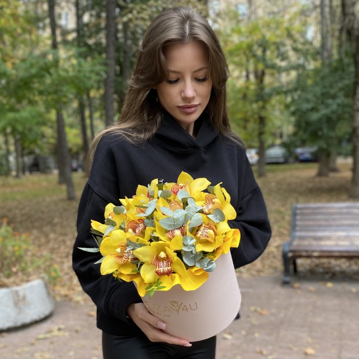 11 желтых орхидей Цимбидиум с эвкалиптом в коробке