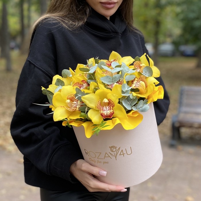 11 желтых орхидей Цимбидиум с эвкалиптом в коробке