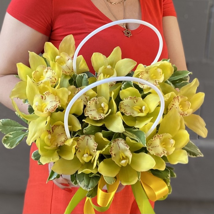 13 желтых орхидей Цимбидиум в сумочке