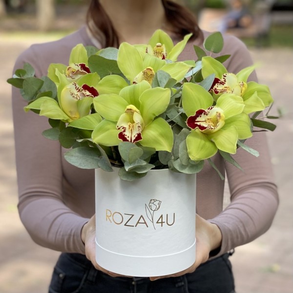 Зелёные орхидеи с эвкалиптом в коробке