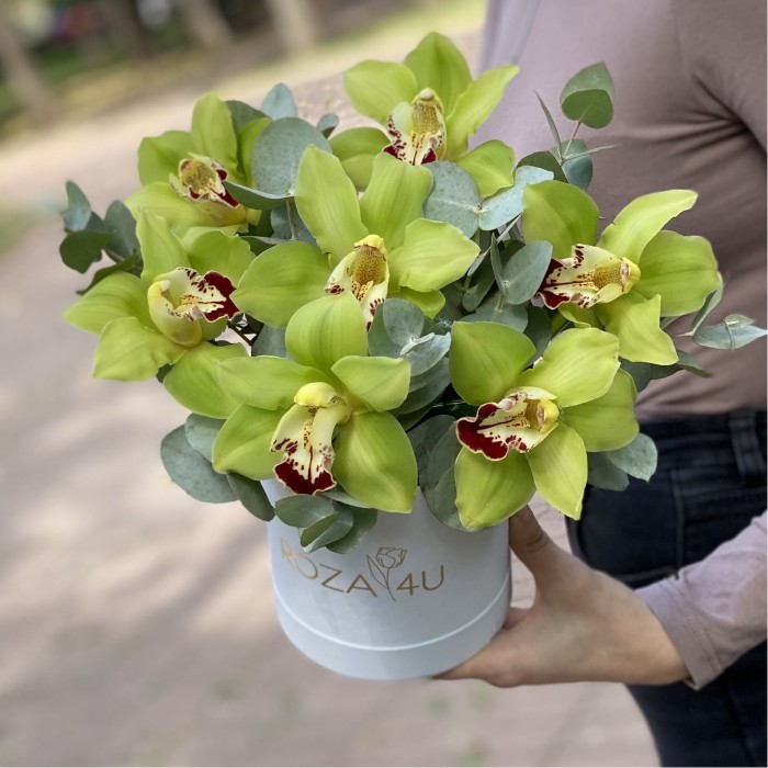 Зелёные орхидеи с эвкалиптом в коробке