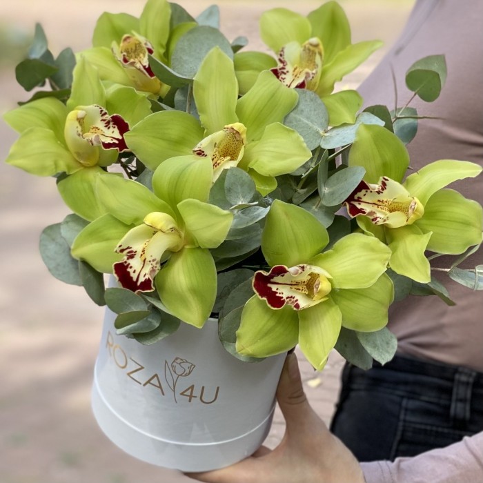 Зелёные орхидеи с эвкалиптом в коробке