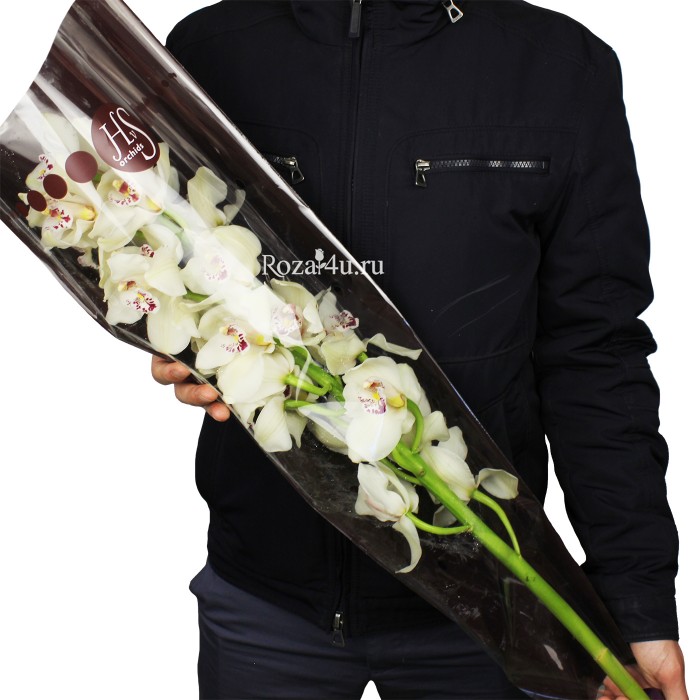 Орхидея белая