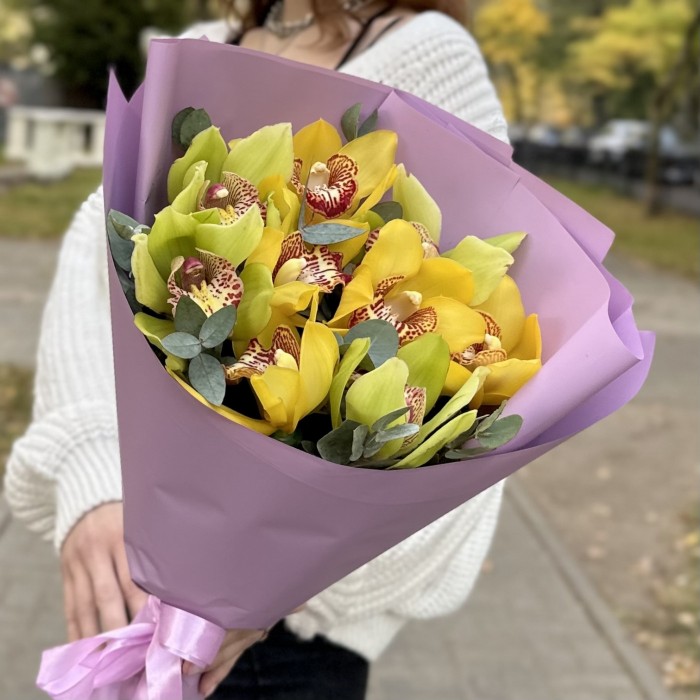 9 желтых и зеленых орхидей Цимбидиум
