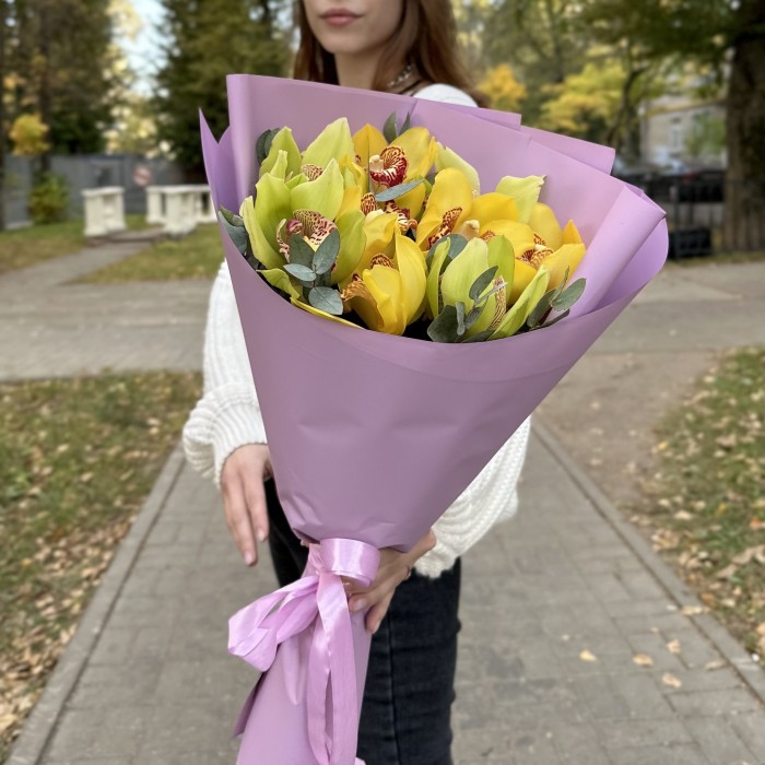 9 желтых и зеленых орхидей Цимбидиум