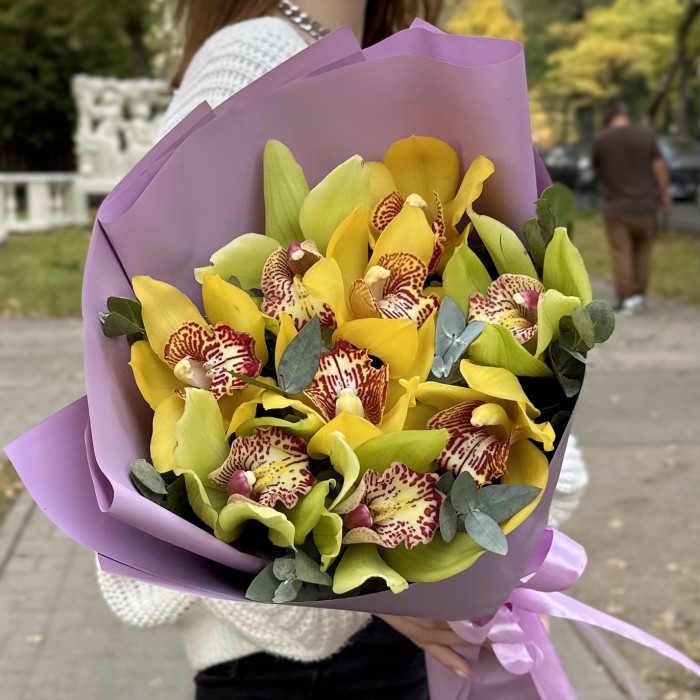 9 желтых и зеленых орхидей Цимбидиум