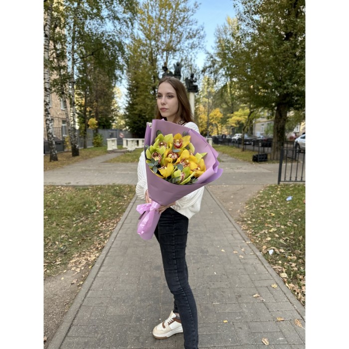 9 желтых и зеленых орхидей Цимбидиум