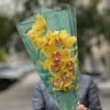 Желтая орхидея Цимбидиум