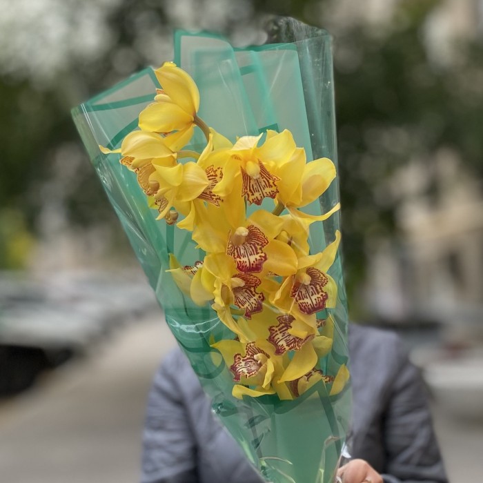 Желтая орхидея Цимбидиум