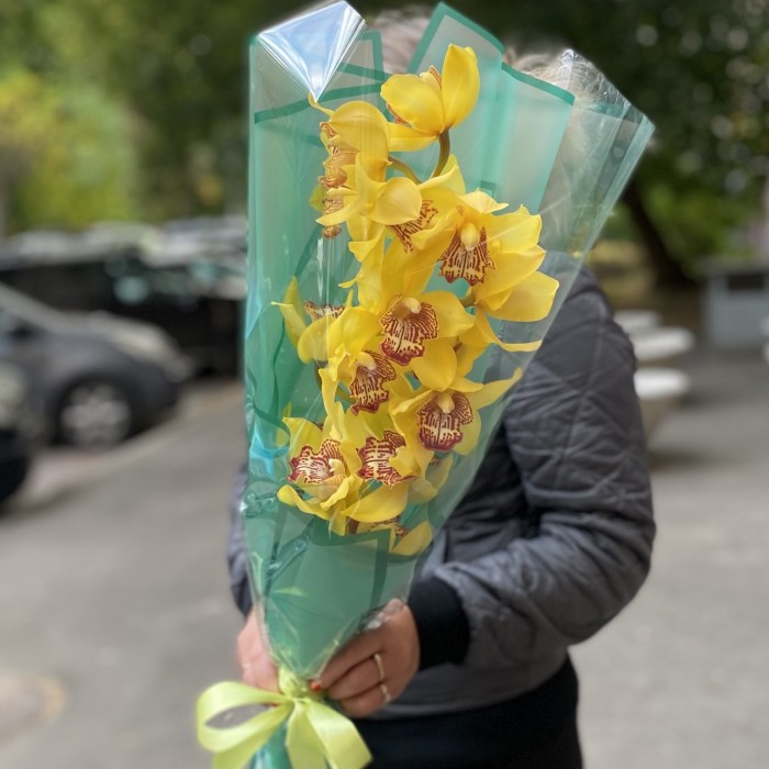 Желтая орхидея Цимбидиум