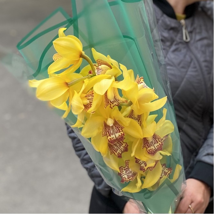 Желтая орхидея Цимбидиум