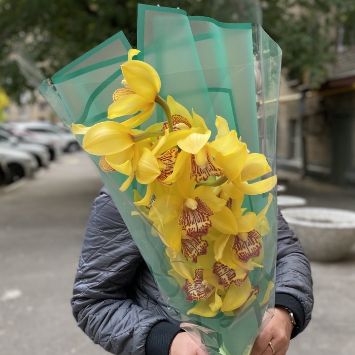 Желтая орхидея Цимбидиум