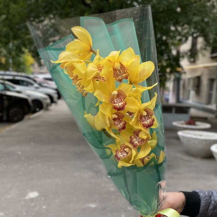 Желтая орхидея Цимбидиум