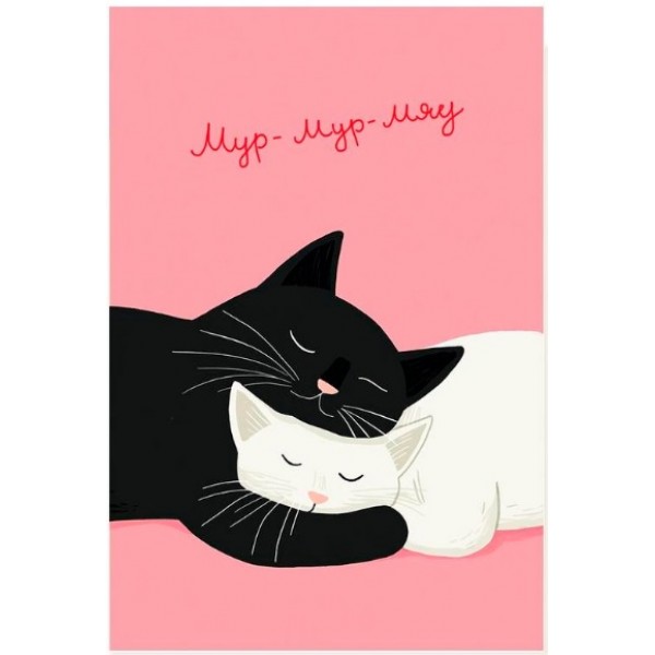 Открытка "Мур-мур-мяу" котики