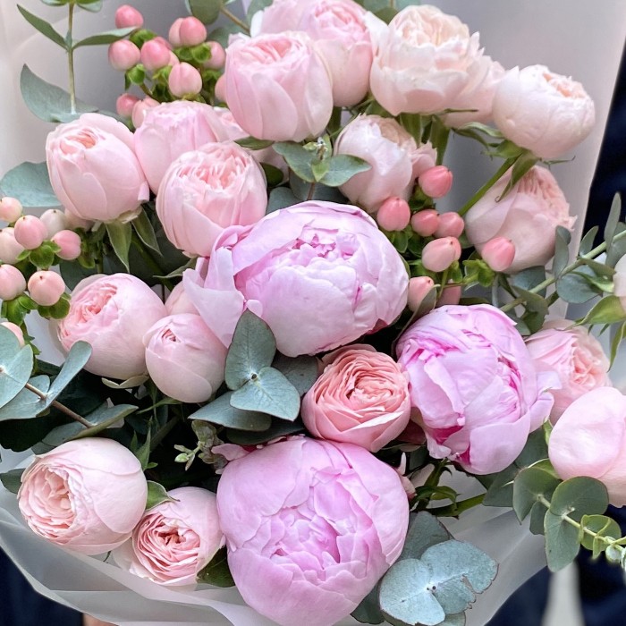 Пионы и розы Мансфилд парк