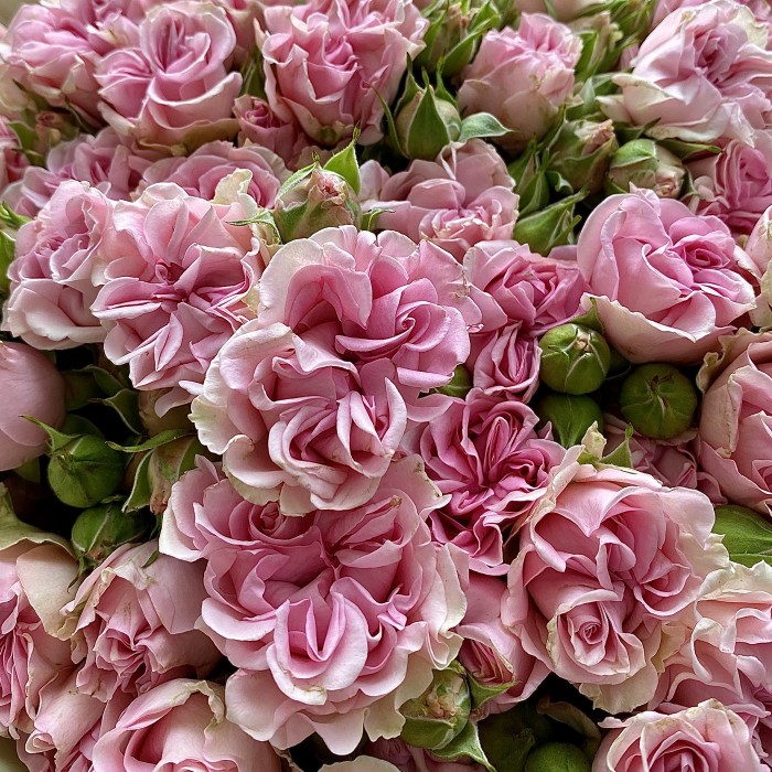 Букет из кустовых роз Sweet flow