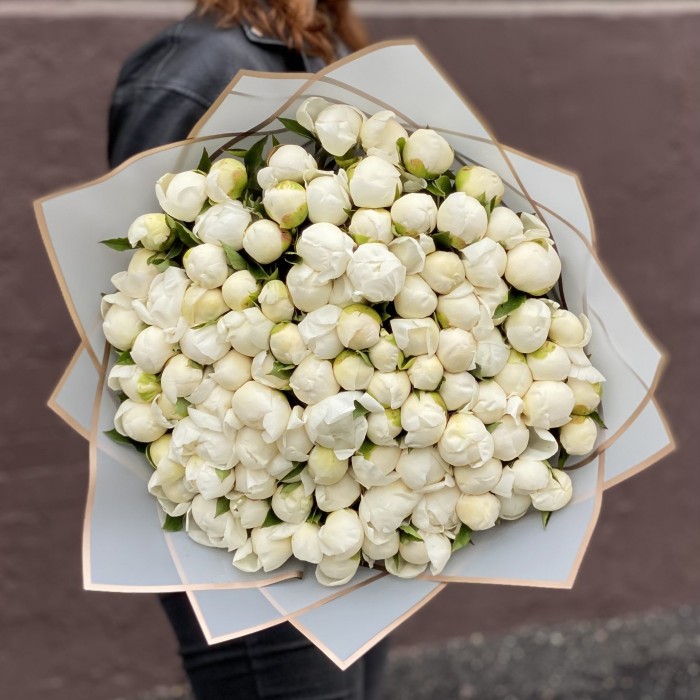 101 пион Белый лебедь