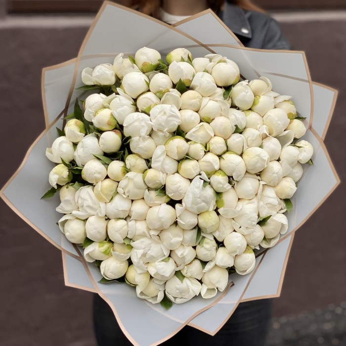 101 пион Белый лебедь