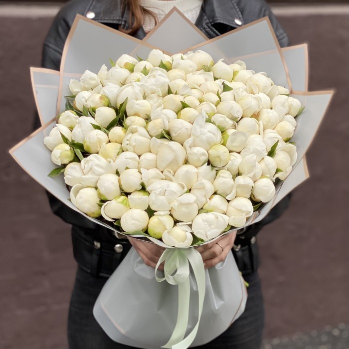 101 пион Белый лебедь