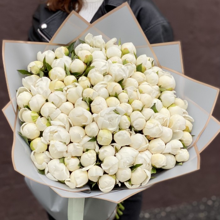 101 пион Белый лебедь