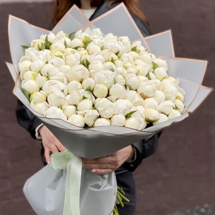 101 пион Белый лебедь