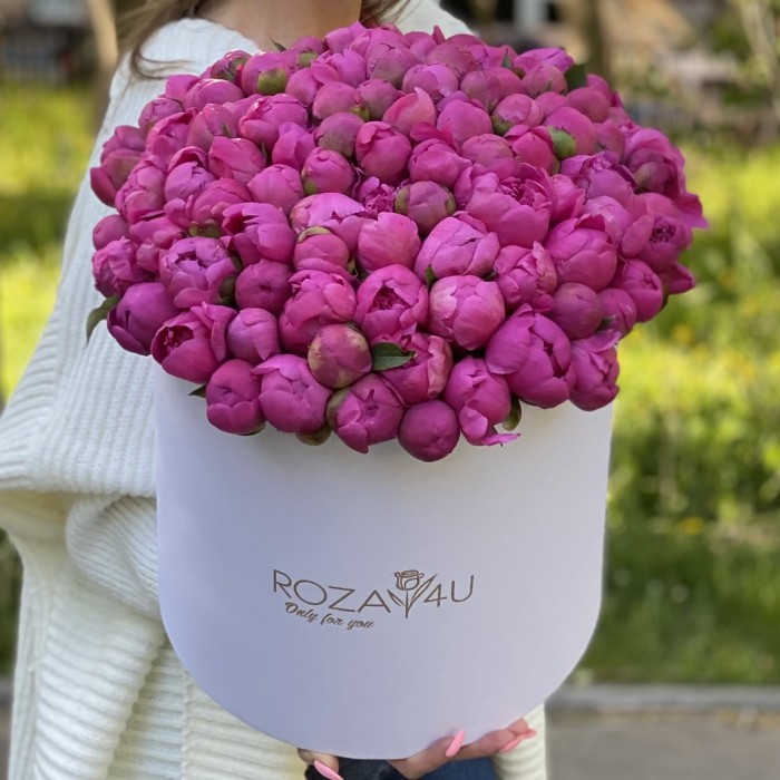 101 малиновый пион в коробке