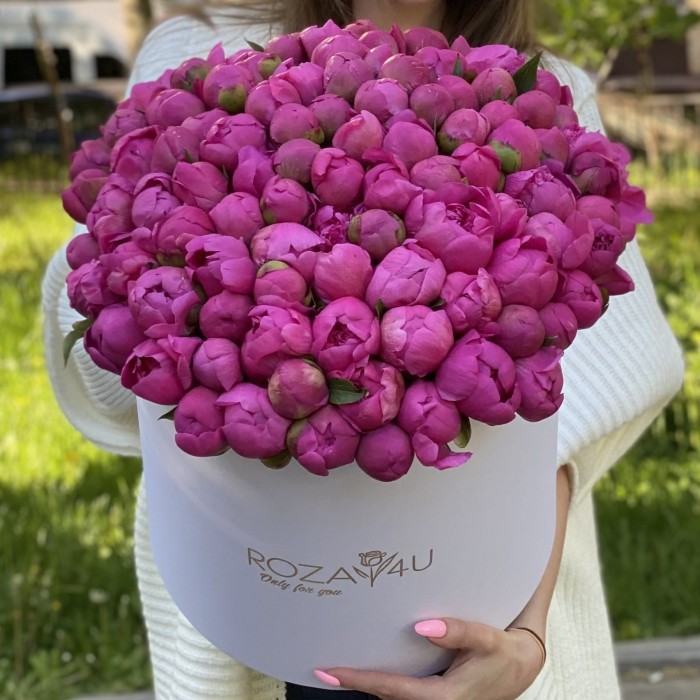 101 малиновый пион в коробке