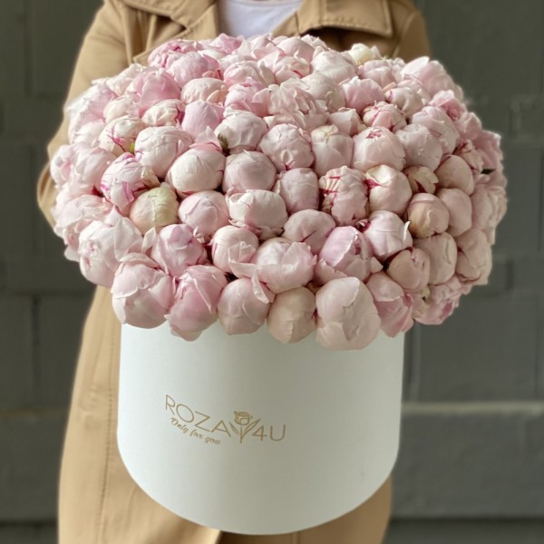 101 пион Сара Бернар в коробке