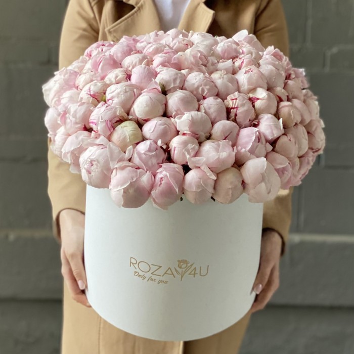 101 пион Сара Бернар в коробке