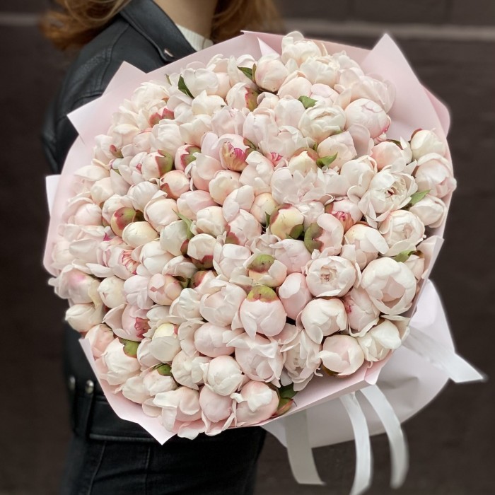 101 пион Фестива