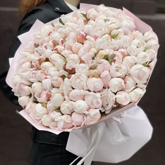 101 пион Фестива