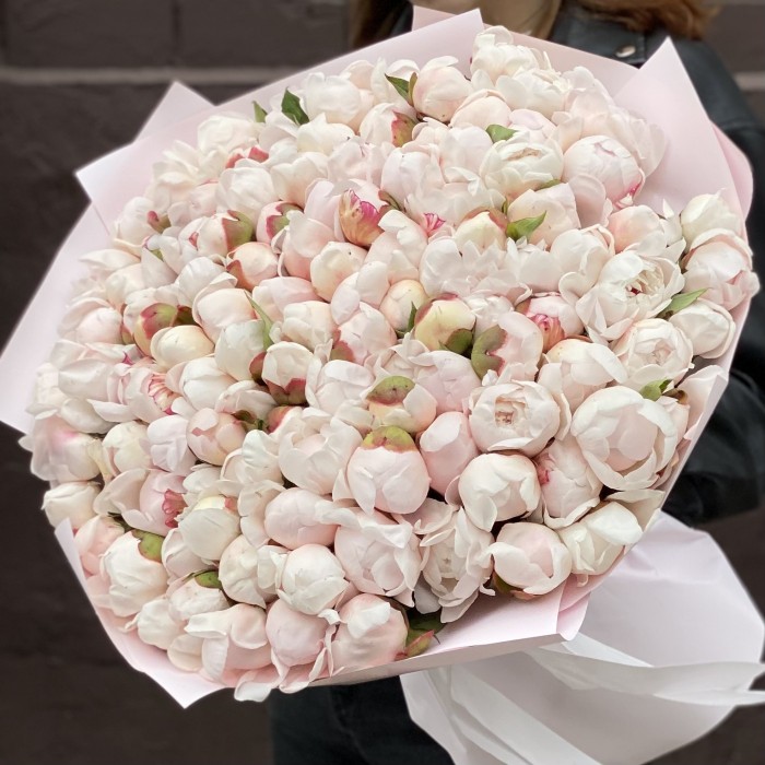 101 пион Фестива