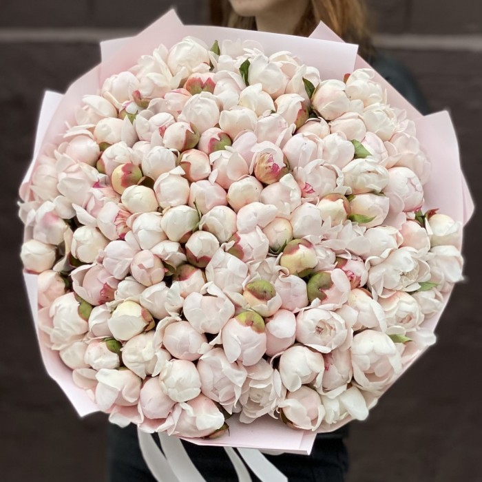 101 пион Фестива