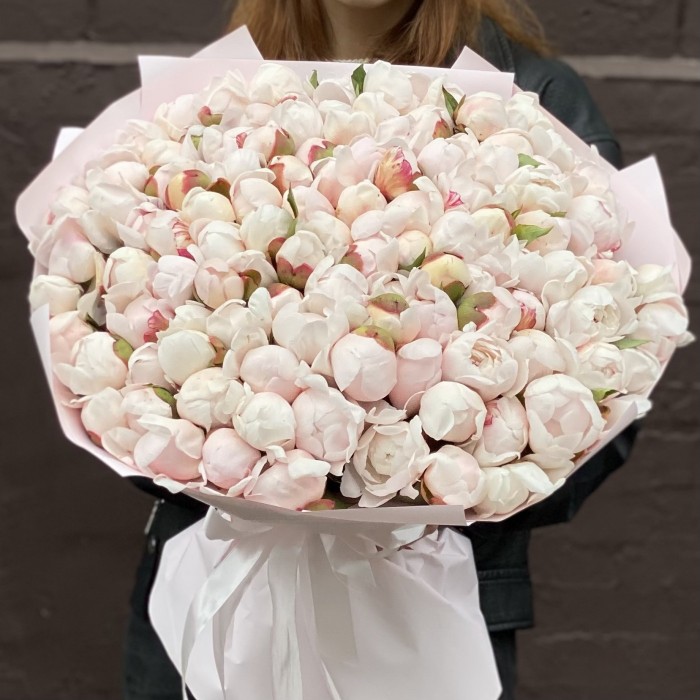 101 пион Фестива