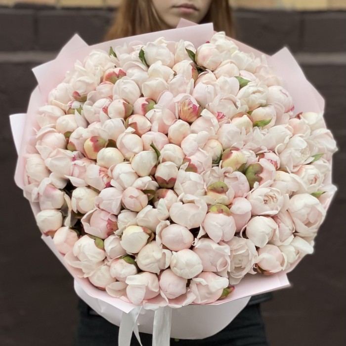 101 пион Фестива