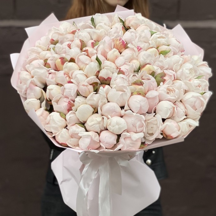 101 пион Фестива