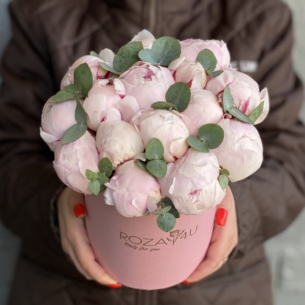 15 пионов Фестива в коробке