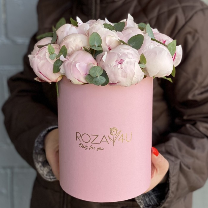 15 пионов Фестива в коробке