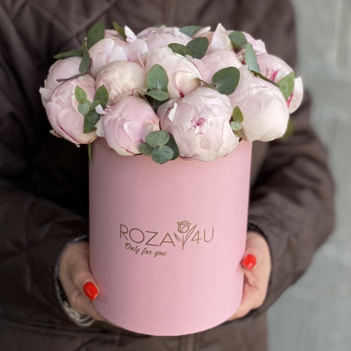 15 пионов Фестива в коробке