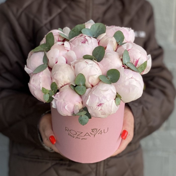 15 пионов Фестива в коробке