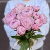 Букет из 15 нежно-розовых пионов Сара Бернар