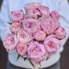 Букет из 15 нежно-розовых пионов Сара Бернар