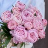 Букет из 15 нежно-розовых пионов Сара Бернар
