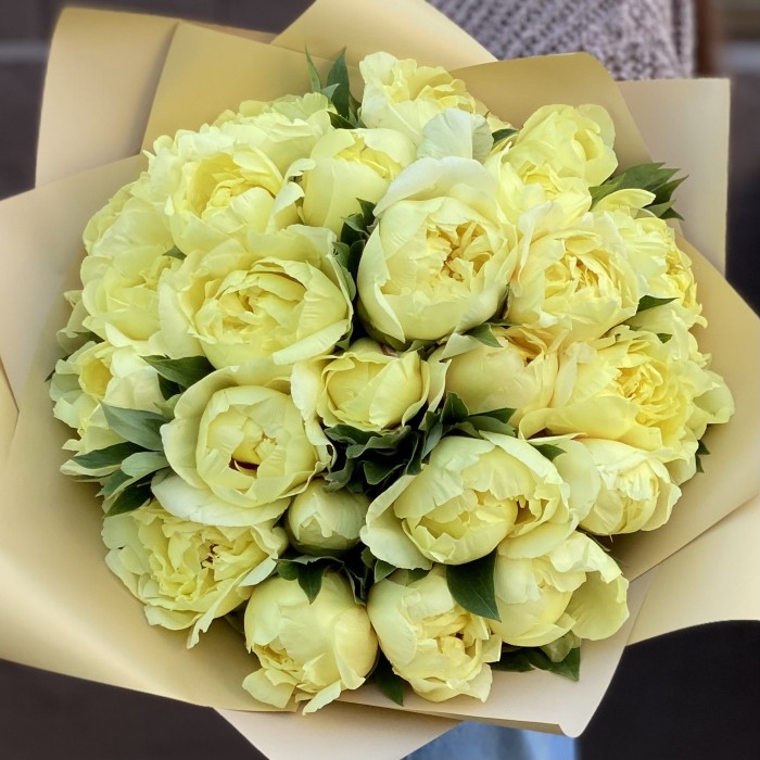 Букет из 25 лимонных пионов