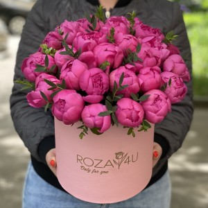 25 малиновых пионов в коробке