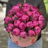 25 малиновых пионов в коробке